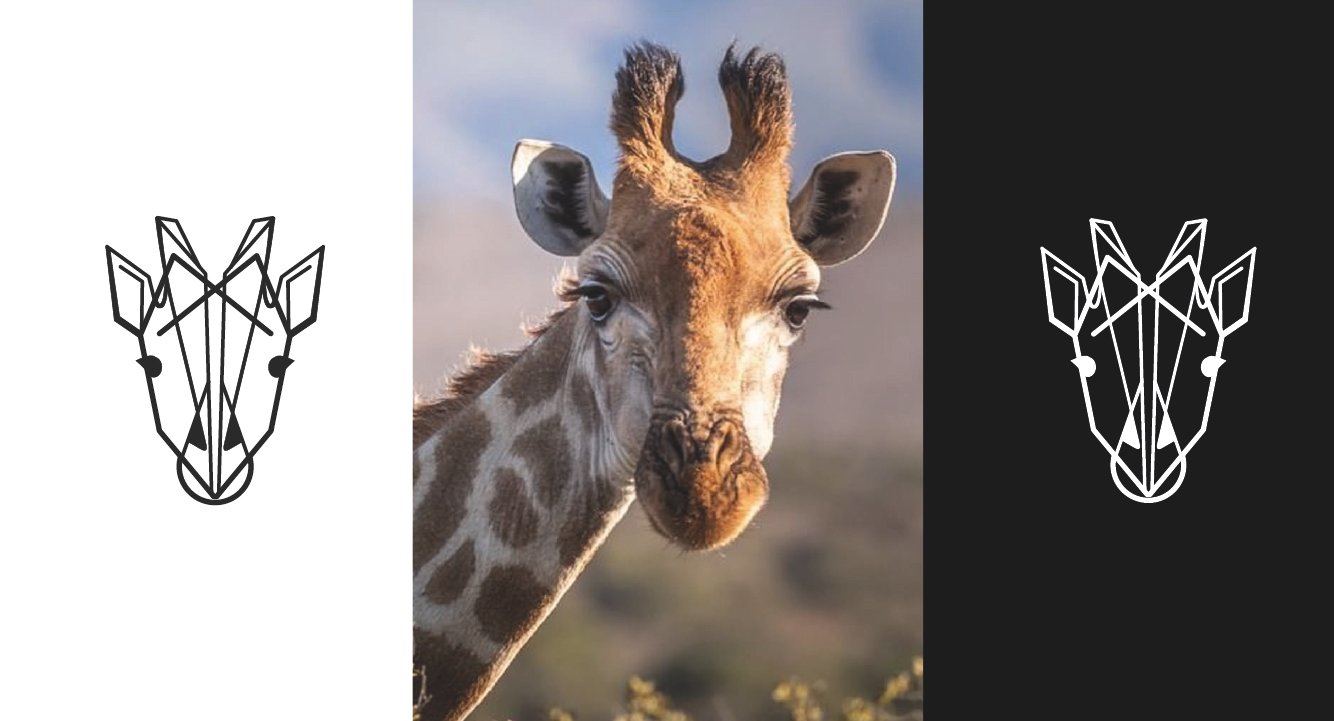 Diseño de Branding - Mejor Agencia de Branding