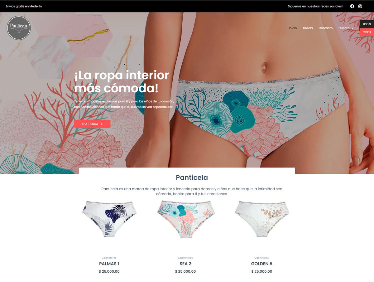 Diseño de Páginas web en Orlando, Florida - Agencia web en Orlando, Florida