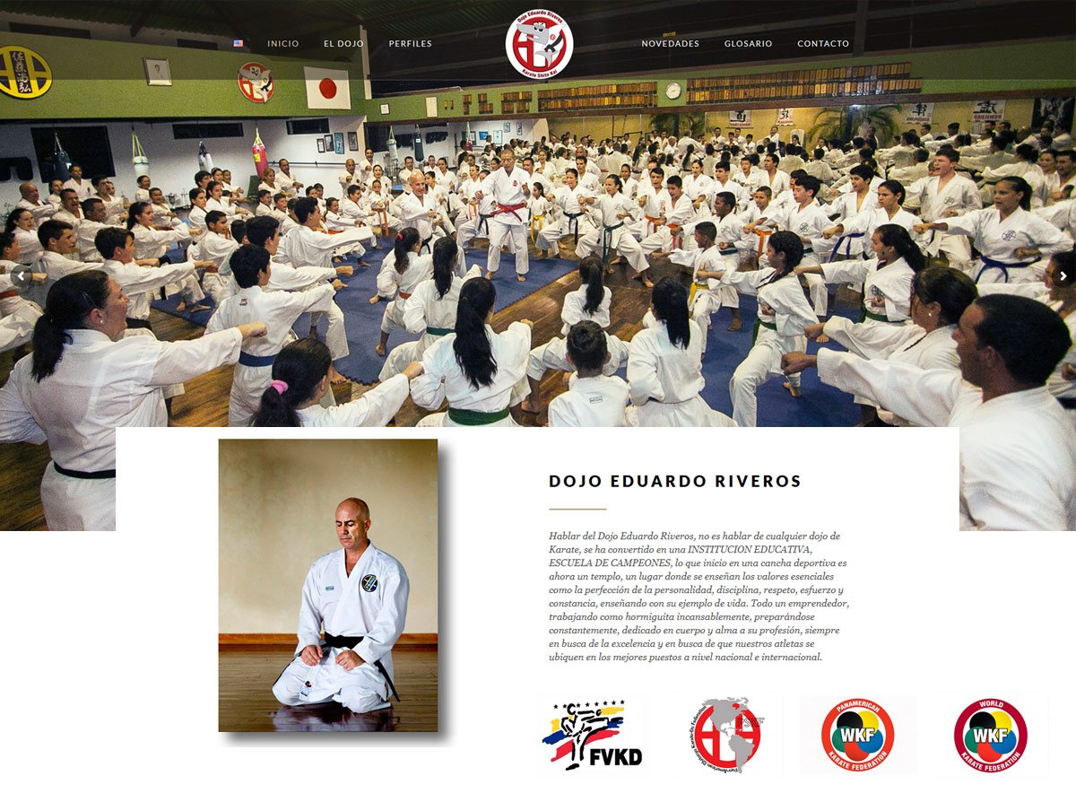 Diseño de Páginas web en Orlando, Florida - Agencia web en Orlando, Florida