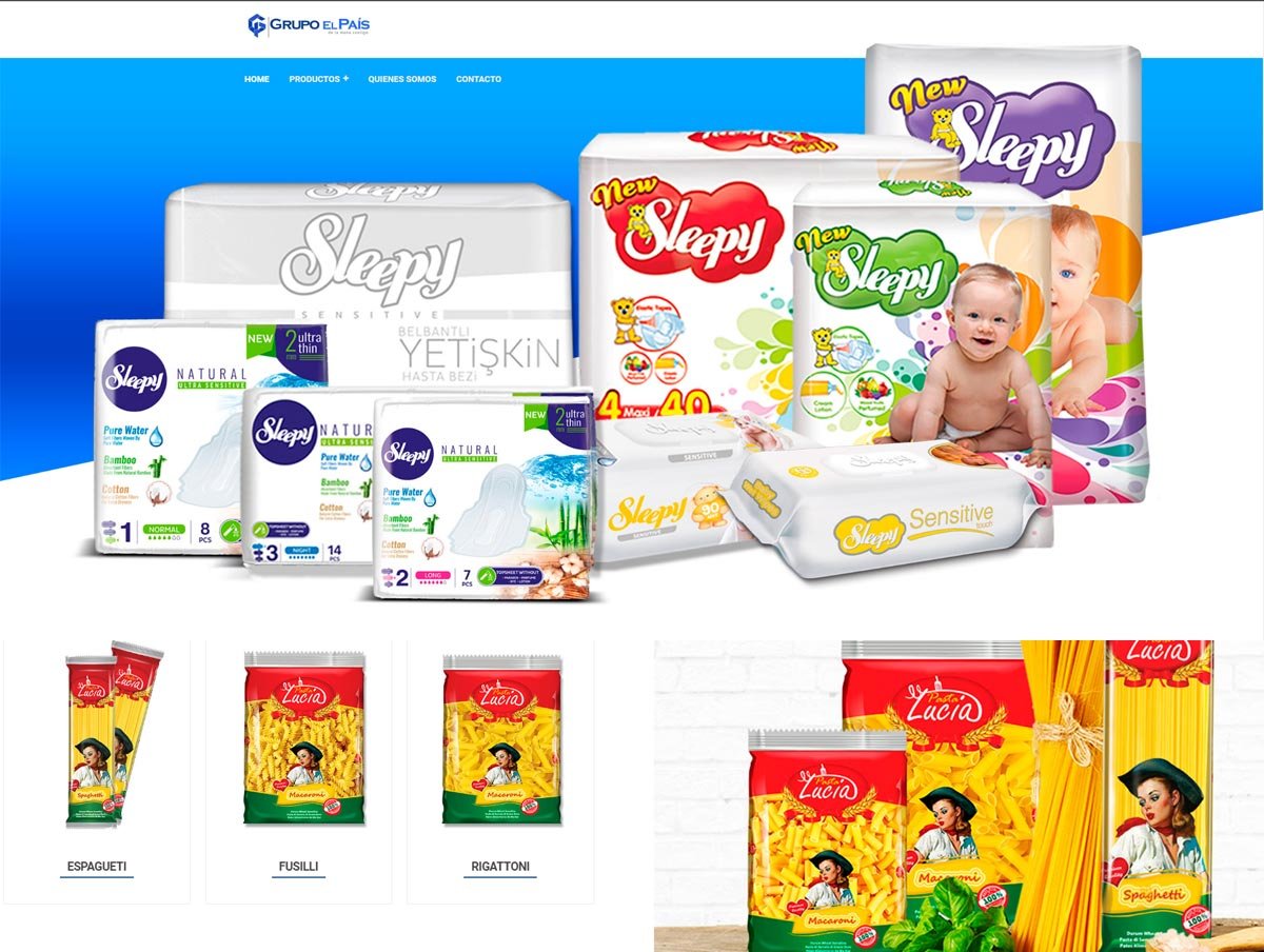 Diseño de Páginas web en Orlando, Florida - Agencia web en Orlando, Florida